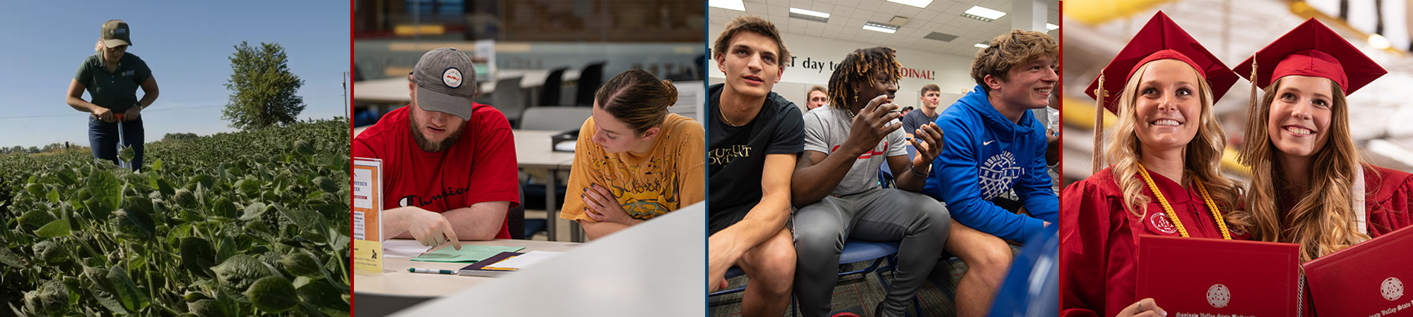 Rural Pathways Banner